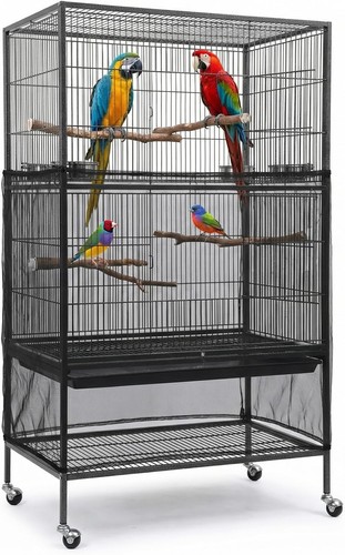 Asocea extra large - extra, bird
